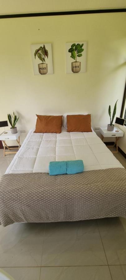 Koi Room Quesada  Bagian luar foto